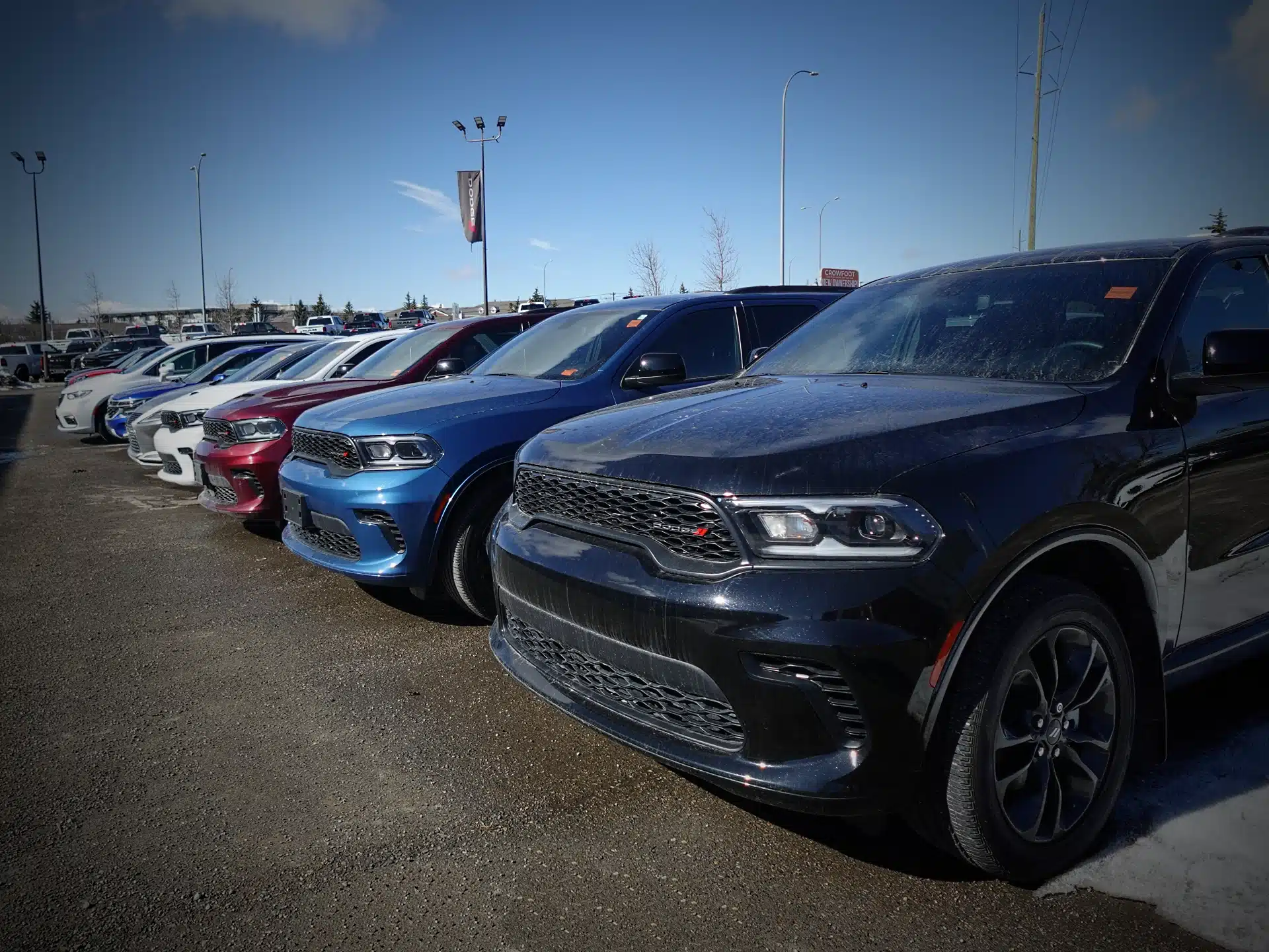 Row of parked SUVs in various colors under a clear blue sky at a car dealership.